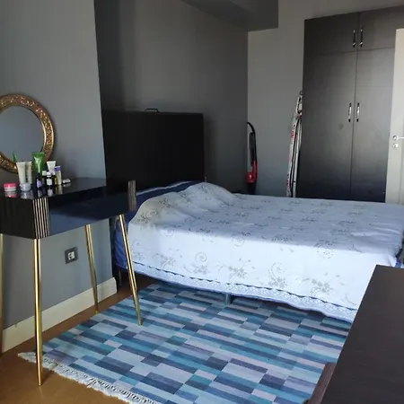 Rahat Ve Huzurlu Bir Ev Apartamento Istambul