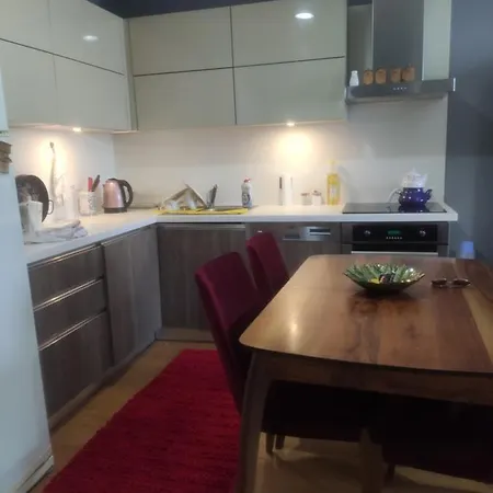 Rahat Ve Huzurlu Bir Ev Apartamento Istambul